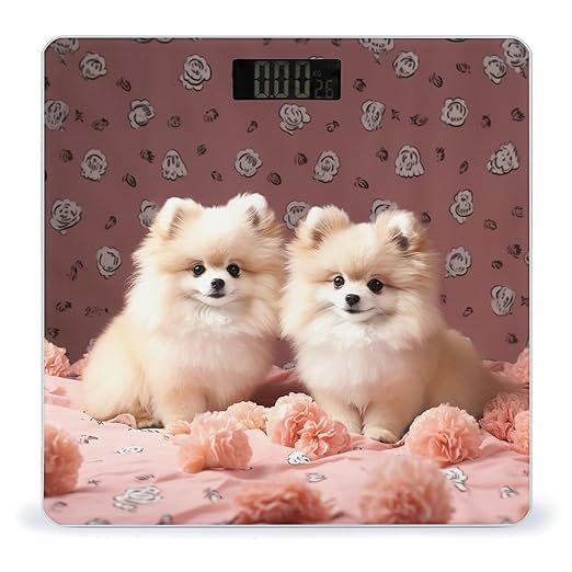 Pomeranians Puppies and Point Scale for Body Weight Sturdy Tempered Glass Weighing Scales with LCD Display Accurate Digital Bathroom Scale Convenient Body Fat Smart Scales Easy Read
