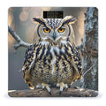 Owl Scale for Body Weight Highly Accurate Digital Bathroom Body Scale Digital Bathroom Scales for People Anti-Slip Large LCD Display Smart Scales