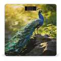Beautiful Peacock Weight ScaleClear LED Display Bathroom Digital Weighing ScaleTempered Glass Digital Bathroom Scale for Body Weight Capacity Up to 400 Lbs