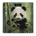 Curious Baby Panda Digital Bathroom Scale for Body Weight with High Precision Digital Weighing Scale with BMI Clear LCD Display and Step-On Measures Weight Up to 180kg