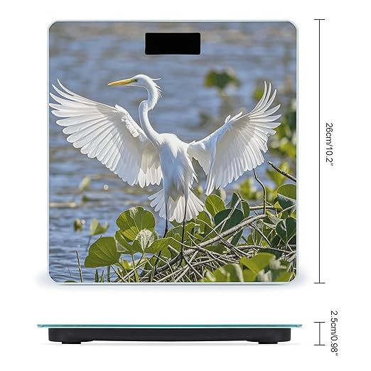 Walking Elephants Weight Scale Large Digital Bathroom Scales with Bright LED Display Non Slip Digital Scale and Step On Fashion Weighing Machine for Body