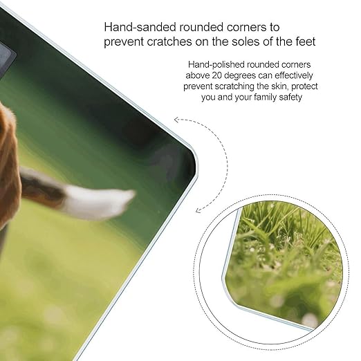 Play Hungry Beagle Dog Weight Scale Cute Bathroom Scale for Body Highly Accurate Digital Weighing Machine for People Compact LCD Display Scales with Sturdy Toughened Glass Scales