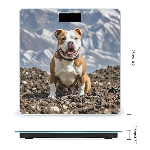 Pitbull Dogs Bathroom Scale for Body Weight Bathroom Weighing Scales with Back Lit LED Display Sturdy Tempered Glass Body Weight Bathroom Scale 400lb Weighing