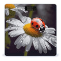 Ladybug on Daisy FlowerScale for Body Weight with LCD High Precision Weighing Scales Fashion Sturdy Tempered Glass Weight Scales Easy-to-Read Digital Bathroom Scale for Daily 400lb
