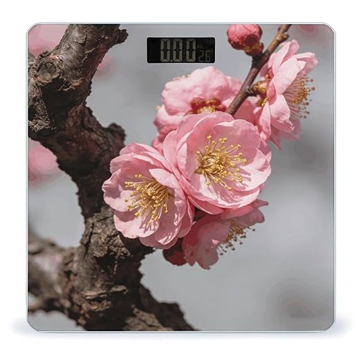 Blooming Plum Smart Scale for Body Weight Digital Bathroom Scale Toughened Glass Weight Scale with Large LCD Backlight Display High Precision Scales Weighing Machine