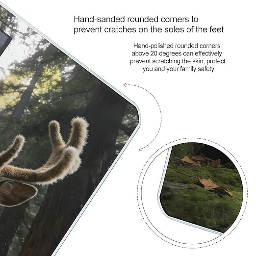 Deer in The Woods Smart Scale for Body Weight Digital Bathroom Scale Toughened Glass Weight Scale with Large LCD Backlight Display High Precision Scales Weighing Machine
