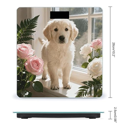 Sunny Windowsill Dog Scale for Body Weight Sturdy Tempered Glass Weighing Scales with LCD Display Accurate Digital Bathroom Scale Convenient Body Fat Smart Scales Easy Read