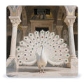 White Peacock Weight Scale Large Digital Bathroom Scales with Bright LED Display Non Slip Digital Scale and Step On Fashion Weighing Machine for Body