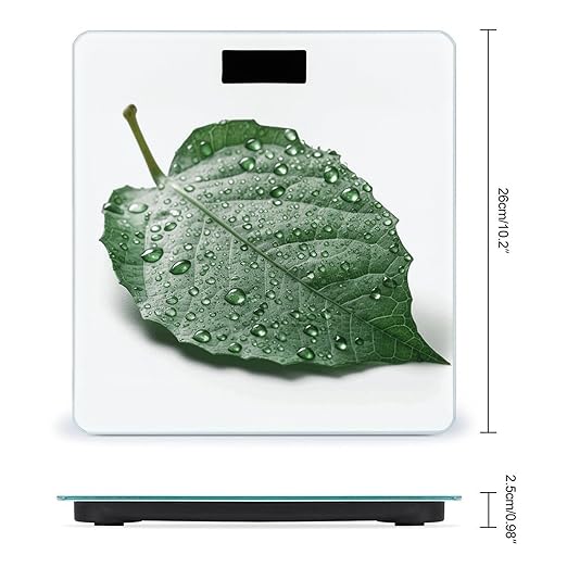 There is Water on The Leaves Scale for Body Weight Anti-Slip Tempered Glass Digital Bathroom Scales Clear LCD Display Weighing Scale Safe Rounded Corners Smart Scales