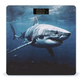 Great White Shark Smart Scale for Body Weight Accurate Bathroom Scale with LED Display Digital Weight Scales Weighing Machine High Precision Scales for Bath Home