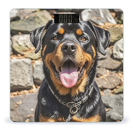 Rottweiler Dogs Tongue Head Bathroom Scale for Body Weight Bathroom Weighing Scales with Back Lit LED Display Sturdy Tempered Glass Body Weight Bathroom Scale 400lb Weighing