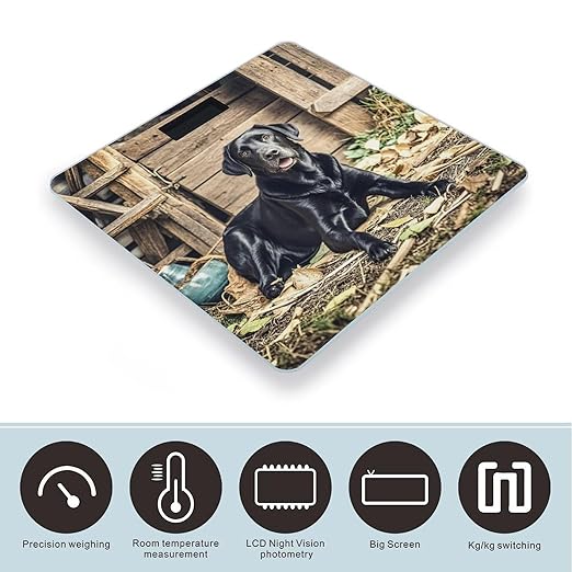 Black Labrador Scale for Body Weight Smart Scales Digital Bathroom Scale High Precision Weighing Scales with Large Display Weighing Machine for People