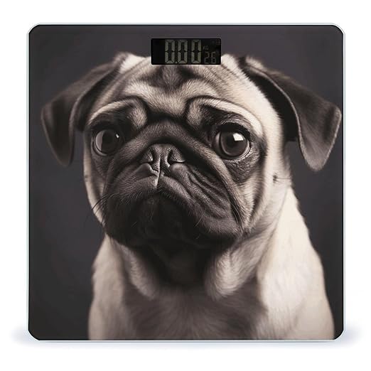 PugScale for Body Weight with LCD High Precision Weighing Scales Fashion Sturdy Tempered Glass Weight Scales Easy-to-Read Digital Bathroom Scale for Daily 400lb