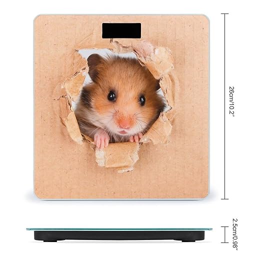 Funny Hamste Scale for Body Weight Anti-Slip Sturdy Tempered Glass Weighing Machine Highly Digital Accurate Bright LCD Bathroom Scale for Household Gift