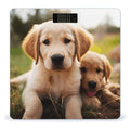 Cute Golden Retriever Puppy Bathroom Scale Large LCD Backlight Display Digital Scale Rounded Corners Body Scales Automatic Power On/Off Bathroom Scales for Home Bedrooms