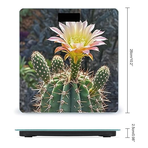 Cactus Flower Smart Scale for Body Weight Accurate Bathroom Scale with LED Display Digital Weight Scales Weighing Machine High Precision Scales for Bath Home