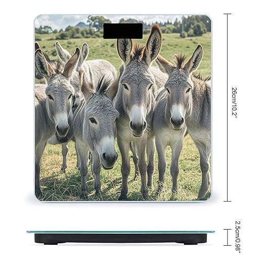 Donkey Animals Scale for Body Weight Smart Scales Digital Bathroom Scale High Precision Weighing Scales with Large Display Weighing Machine for People