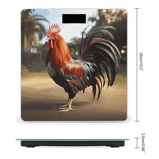 Proud Rooster Bathroom Scale Automatic Power On/Off Body Scales LCD Backlight Display Square Digital Scale Rounded Corners Bathroom Scales for Home Bedrooms