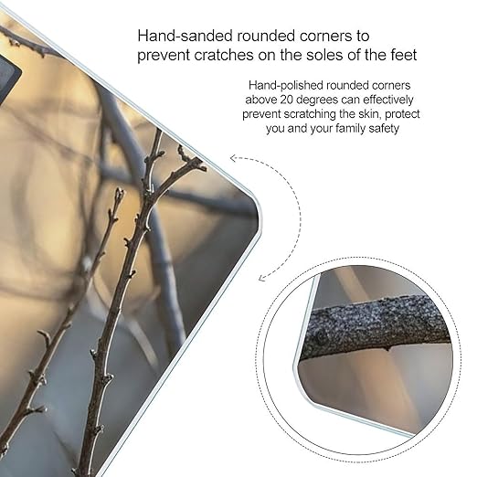 Owl on A Branch Bathroom Scale for Body Weight Bathroom Weighing Scales with Back Lit LED Display Sturdy Tempered Glass Body Weight Bathroom Scale 400lb Weighing
