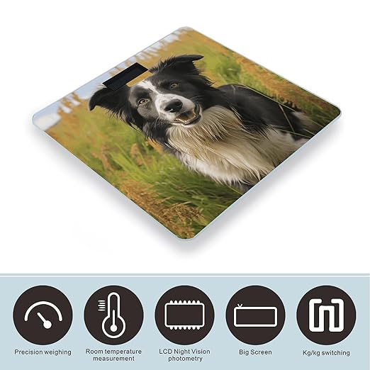 Mohado Border Collie Dog Bathroom Scale Rounded Smart Scale for Body Weight Automatic Power On/Off Weight Scales Accurate Bathroom Digital Scales for Pet Home Bedroom Kitchen