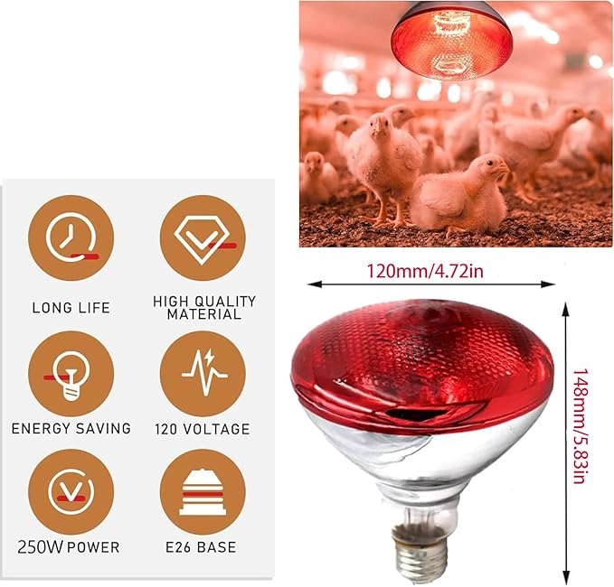 250W Infrared Heat Lamp for Chickens Red Heat Light Bulb for Food Service Brooder Coop Reptiles Pet Bathroom Infrared Reflector Heat Bulb E26 110V Infrared Light Therapy Bulb4 Pack