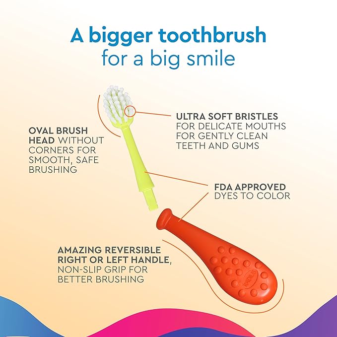 RADIUS Big Kidz Forever Brush Replaceable Head for Children 6 Years and Up BPA Free ADA Accepted for Growing Teeth and Gums 2 Heads - Extra Soft