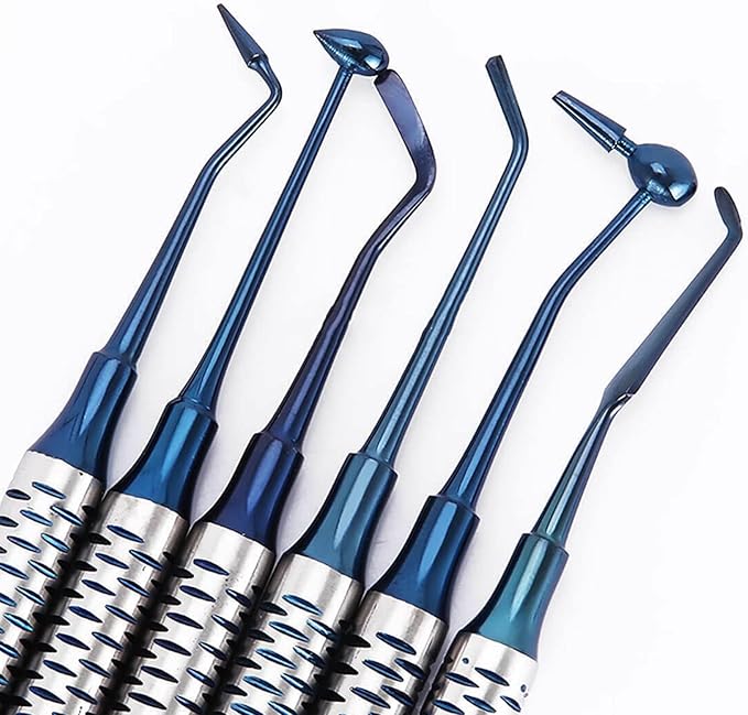6PCS Dental Tools KitsDental Oral Hygiene Tool KitTooth Pick Stainless Steel Hygiene Dentist Set for Home &amp Oral Use