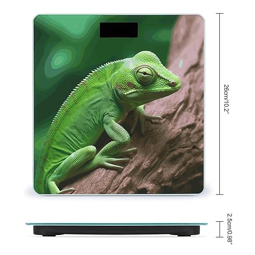 Green Lizard Smart Scale for Body Weight Accurate Bathroom Scale with LED Display Digital Weight Scales Weighing Machine High Precision Scales for Bath Home