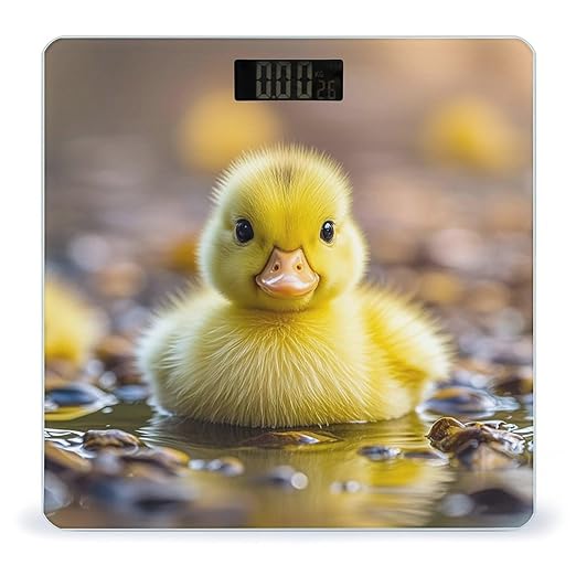 Cute Ducks Bathroom Scale for Body Weight with High Precision Large LCD Backlight Display Digital Weighing Scale with BMI Capacity Up to 180kg