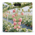 Pink Strawberry Weight Scale Cute Bathroom Scale for Body Highly Accurate Digital Weighing Machine for People Compact LCD Display Scales with Sturdy Toughened Glass Scales