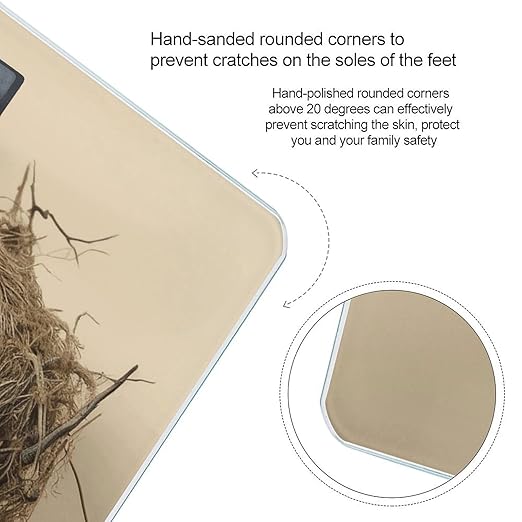 Birds Nest Scale for Body Weight Highly Accurate Digital Bathroom Scale Sturdy Tempered Glass Weighing Scales with LCD Display Fashion Body Fat Smart Scales 400lb