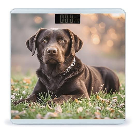 Brown Labrador Retriever Scale for Body Weight Highly Accurate Digital Bathroom Scale Sturdy Tempered Glass Weighing Scales with LCD Display Fashion Body Fat Smart Scales 400lb