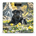 Cute Black Pug Dog Weight Scale Large Digital Bathroom Scales with Bright LED Display Non Slip Digital Scale and Step On Fashion Weighing Machine for Body