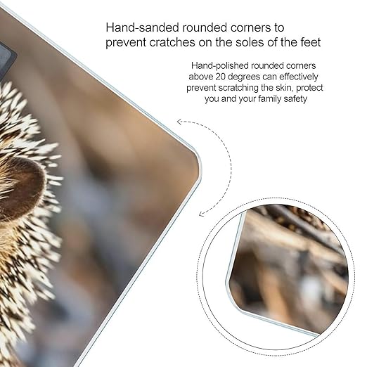 Hedgehog Bathroom Scale Automatic Power On/Off Body Scales LCD Backlight Display Square Digital Scale Rounded Corners Bathroom Scales for Home Bedrooms