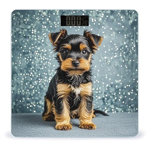 Black Yorkie Puppy Scale for Body Weight Digital Bathroom Scale Toughened Glass High Precision Scales for Body Weight with Large LCD Backlight Display Weight Scales