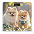 Pomeranians Puppies Scale for Body Weight Digital Bathroom Scale Toughened Glass High Precision Scales for Body Weight with Large LCD Backlight Display Weight Scales