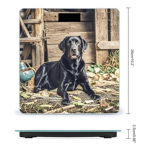 Black Labrador Scale for Body Weight Smart Scales Digital Bathroom Scale High Precision Weighing Scales with Large Display Weighing Machine for People