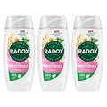 Radox Mineral Therapy Feel Moisturised Shower Gel with Chamomile &amp Oat Scent- 225ml (Pack of 3)