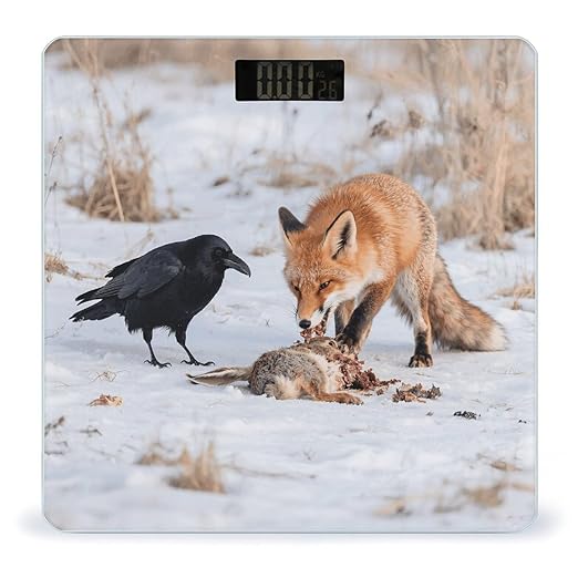 Fox Raven Interaction Scale for Body Weight Sturdy Tempered Glass Weighing Scales with LCD Display Accurate Digital Bathroom Scale Convenient Body Fat Smart Scales Easy Read