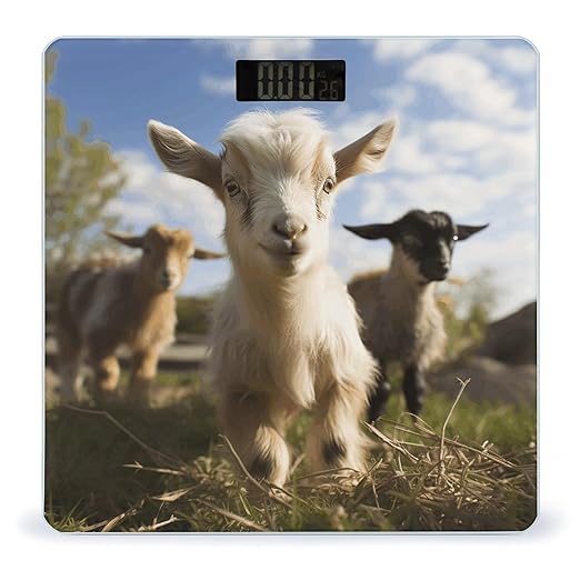 Cute Goat Png Bathroom Scale Large LCD Backlight Display Digital Scale Rounded Corners Body Scales Automatic Power On/Off Bathroom Scales for Home Bedrooms