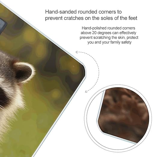 RaccoonScale for Body Weight with LCD High Precision Weighing Scales Fashion Sturdy Tempered Glass Weight Scales Easy-to-Read Digital Bathroom Scale for Daily 400lb