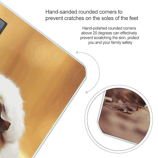 Cute Guinea Pigs Scale for Body Weight Digital Bathroom Scale Toughened Glass High Precision Scales for Body Weight with Large LCD Backlight Display Weight Scales