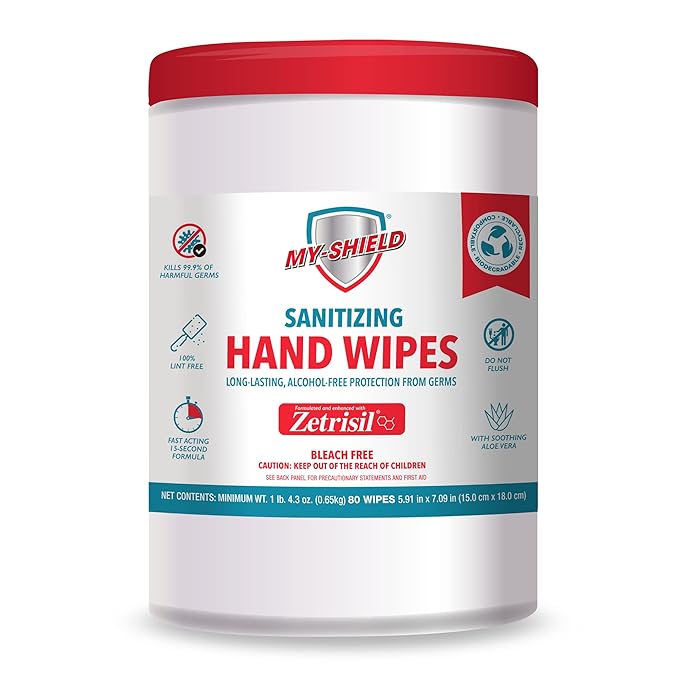 Sanitizing Hand Wipes - Alcohol-Free Long-Lasting Antimicrobial Protection. Kills 99.9% of Germs. Infused with Aloe Vera (Two 80-Count Four 20-Count) FDA Registered