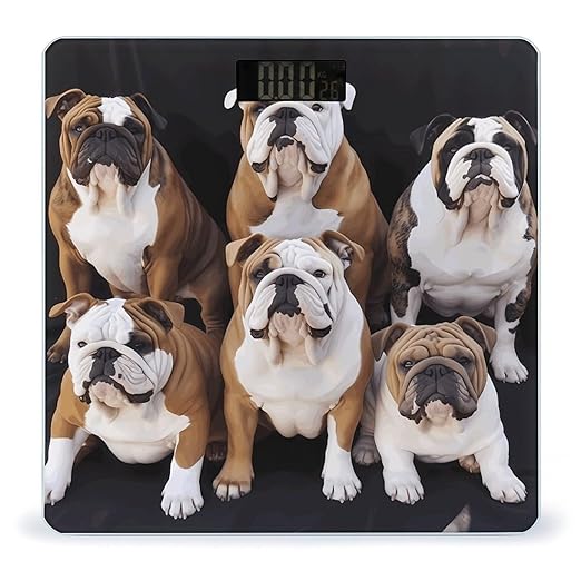 English Bulldogs Scale for Body Weight High Precision Digital Weight Scales with LCD Display Anti-Slip Sturdy Slim Tempered Glass Bathroom Scale for Home Use