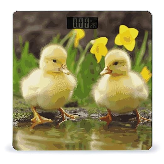 Cute Baby Ducks Weight Scale Digital Electronic Scales Bathroom Scale Larg LCD Backlight Display High Precision MeasurementsTempered Glass
