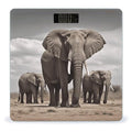 Digital Bathroom Scale for Body Weight Scale with Bright LCD Display High Accuracy Step-On Technology Auto On/Off African Elephant Digital Scales 400 Lbs /180kg
