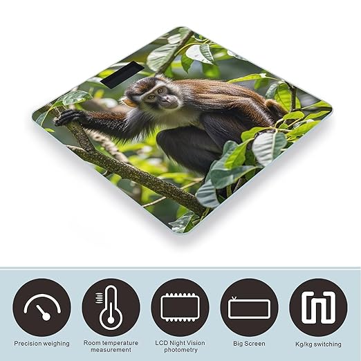 Monkey Scale for Body Weight Highly Accurate Digital Bathroom Body Scale Digital Bathroom Scales for People Anti-Slip Large LCD Display Smart Scales