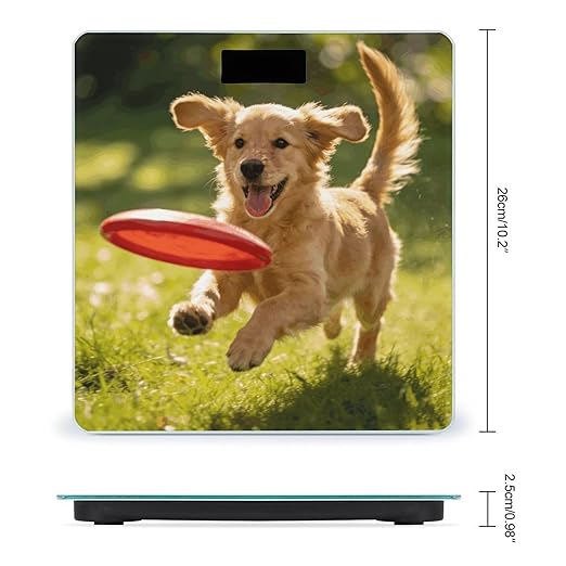 Interesting Puppy Weight ScaleClear LED Display Bathroom Digital Weighing ScaleTempered Glass Digital Bathroom Scale for Body Weight Capacity Up to 400 Lbs