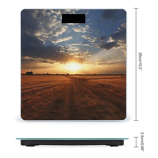 Field Sunrise Scale for Body Weight Anti-Slip Tempered Glass Digital Bathroom Scales Clear LCD Display Weighing Scale Safe Rounded Corners Smart Scales