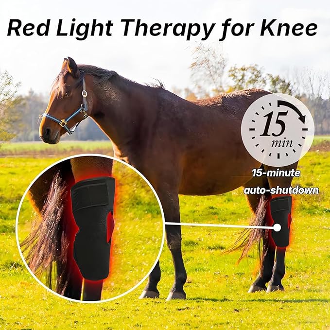 Portable Infrared Light Therapy for Horse Leg Stifle Pain Wearable Infrared Therapy Wrap 660Nm/850Nm for Equine Joint &amp Muscle Recovery